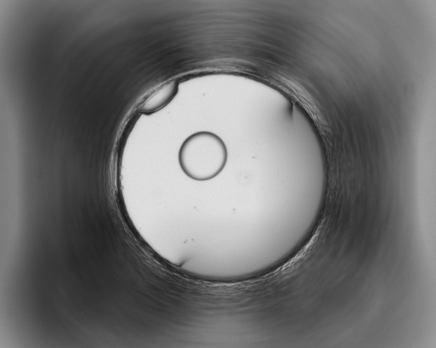 X0000096211180200802151456