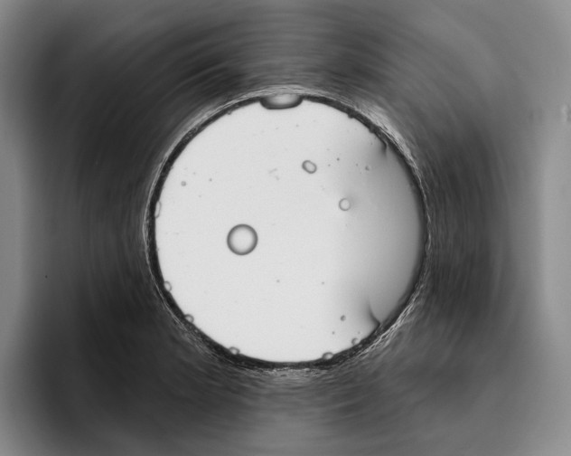 X0000096211181200802151456