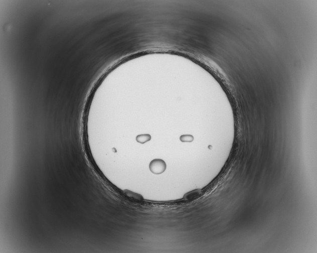 X0000096211183200802151456