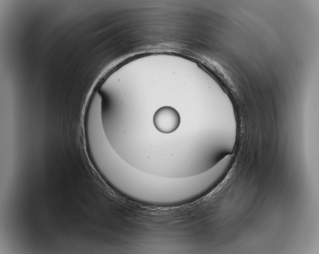 X0000096211184200802151456