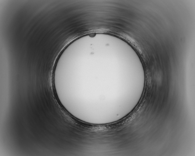 X0000096211186200802151456