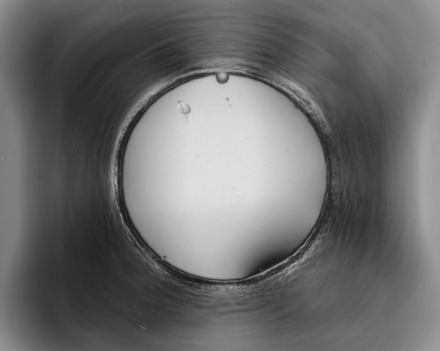 X0000096211188200802151456