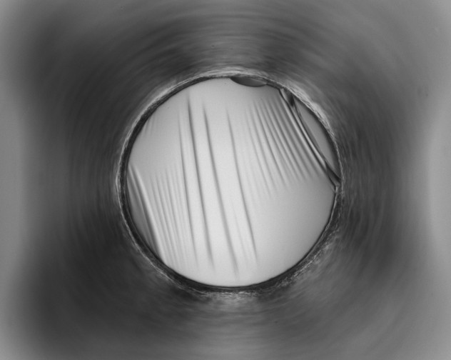 X0000096211189200802151456