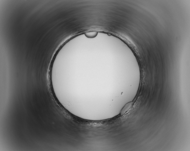 X0000096211190200802151456