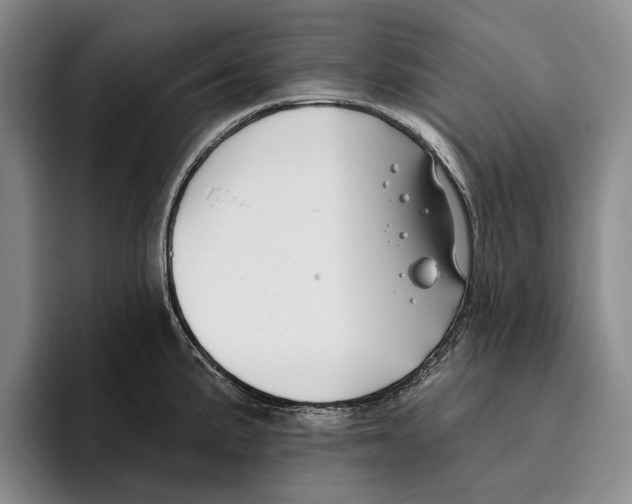 X0000096211191200802151456