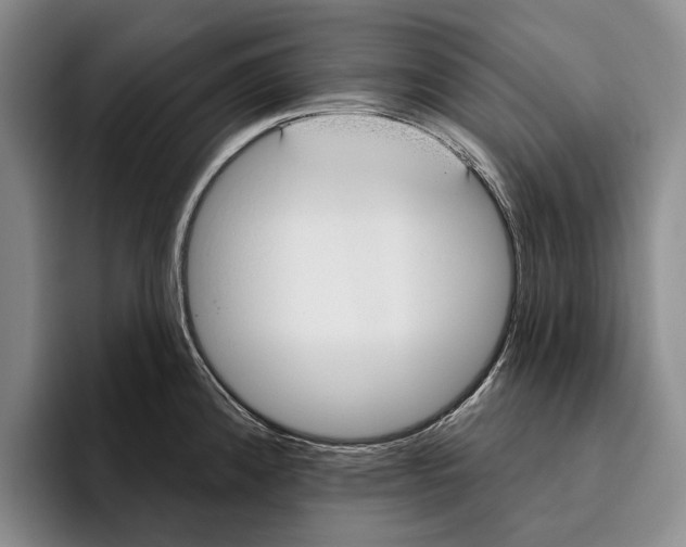 X0000096211192200802151455