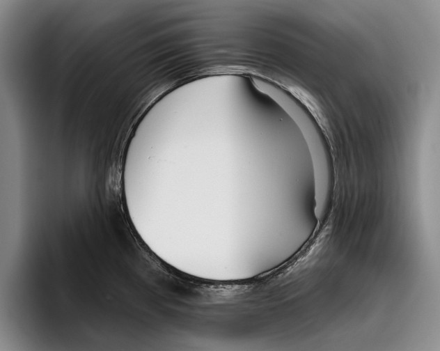 X0000096211193200802151455