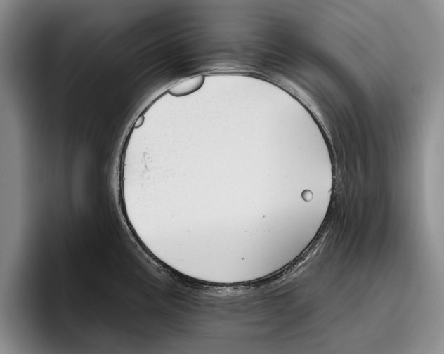 X0000096211195200802151455