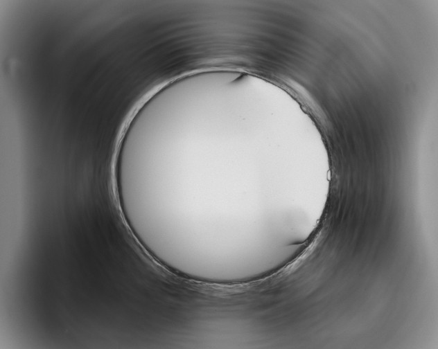 X0000096211196200802151455