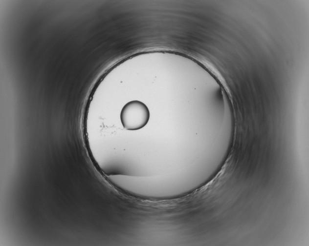 X0000096211197200802151455