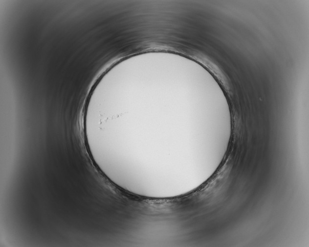 X0000096211198200802151455