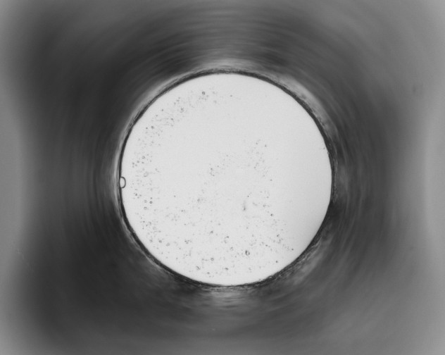 X0000096211199200802151455