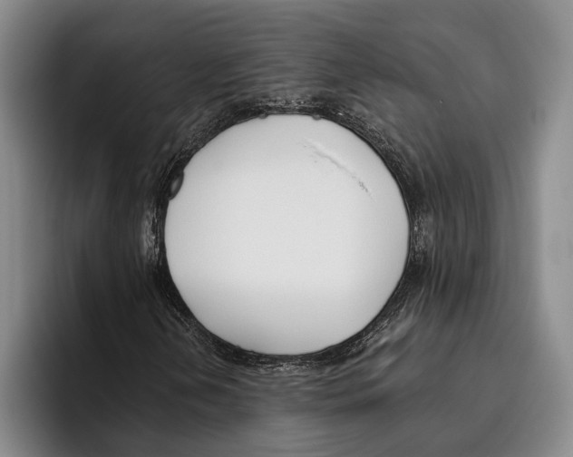 X0000096211202200802151455