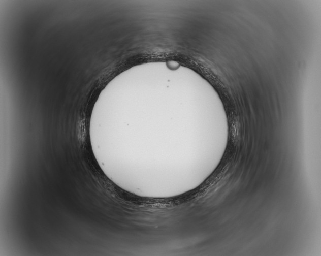 X0000096211204200802151455