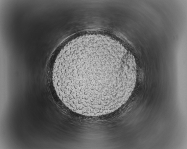 X0000096211208200802151455