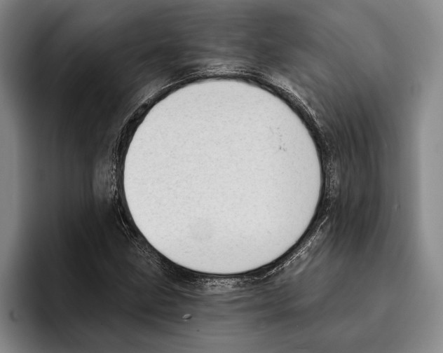 X0000096211211200802151455