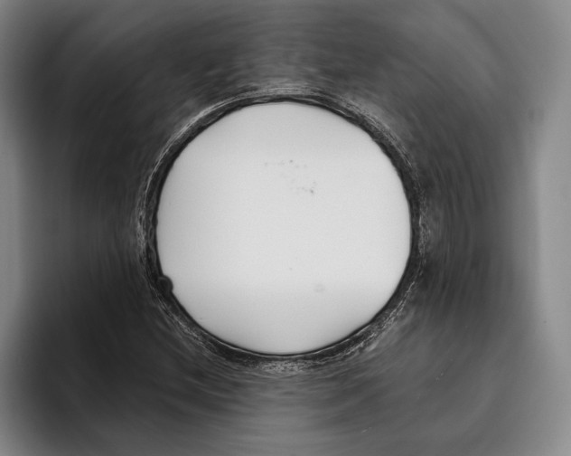 X0000096211212200802151455