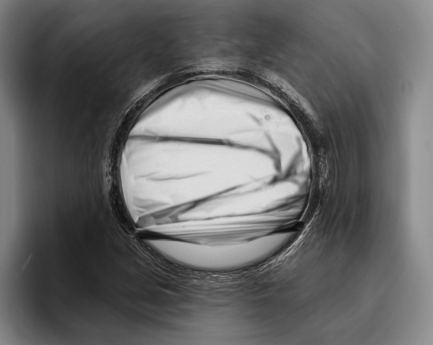 X0000096211213200802151455