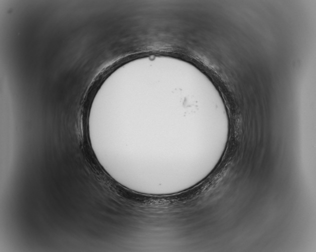 X0000096211214200802151455