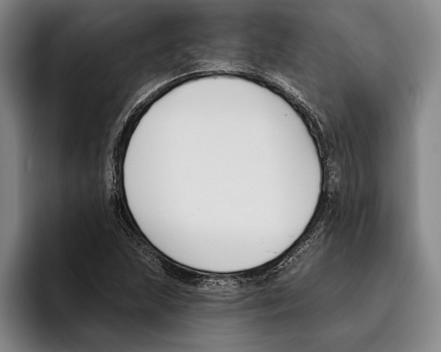 X0000096211215200802151455