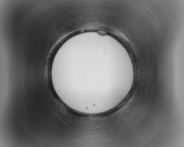 X0000096211216200802151455