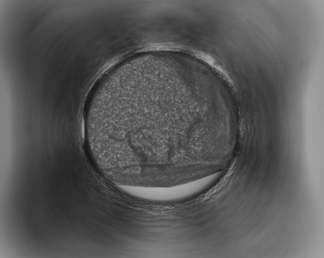 X0000096211221200802151455