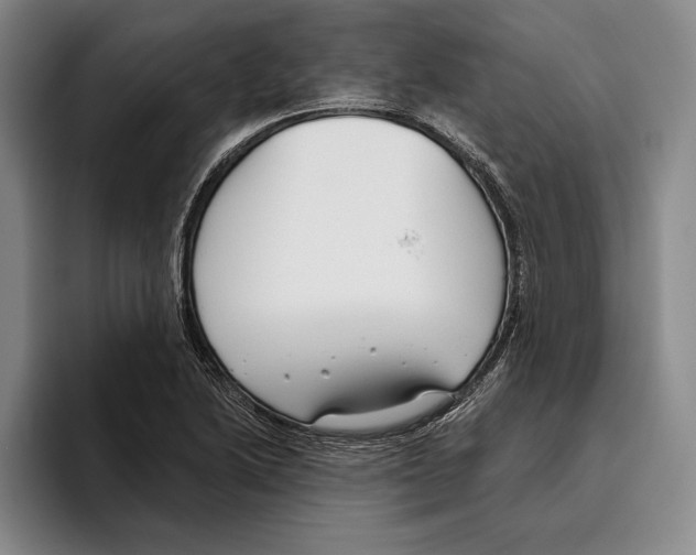 X0000096211222200802151455