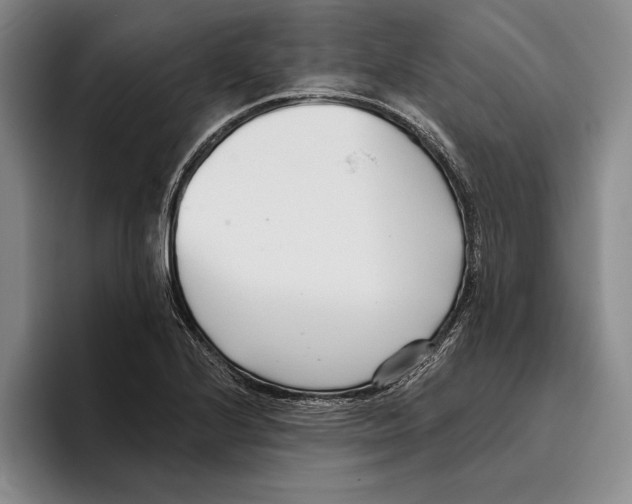 X0000096211224200802151455