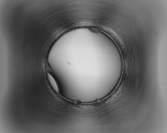 X0000096211225200802151455