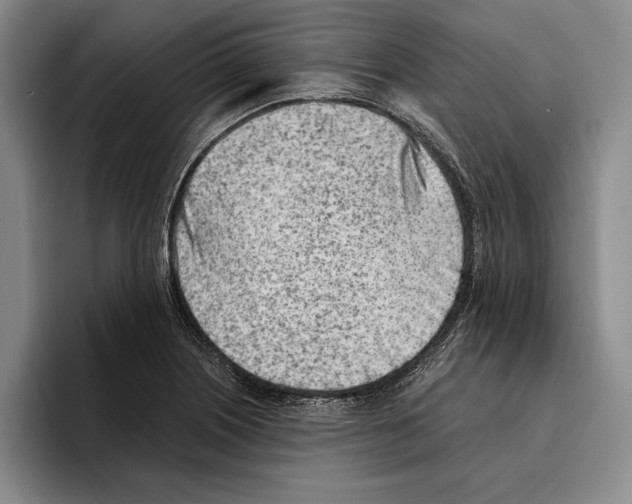 X0000096211226200802151455