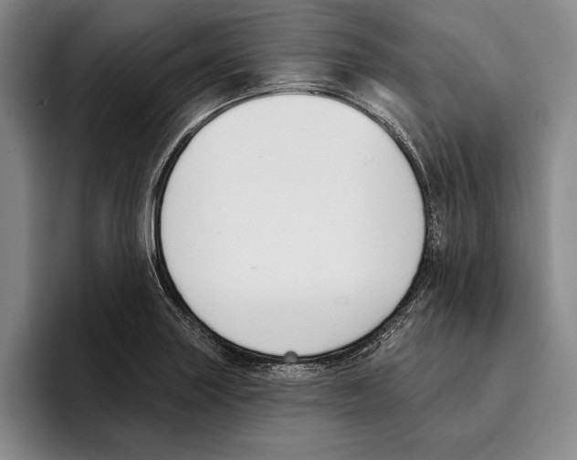 X0000096211227200802151455