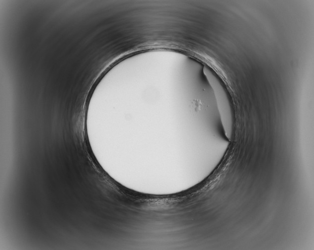 X0000096211228200802151455