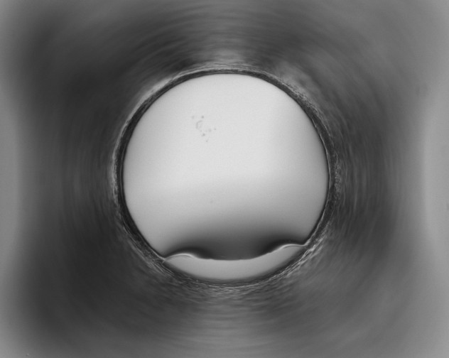 X0000096211230200802151455