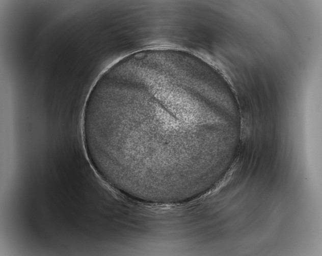 X0000096211231200802151455