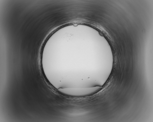 X0000096211232200802151455