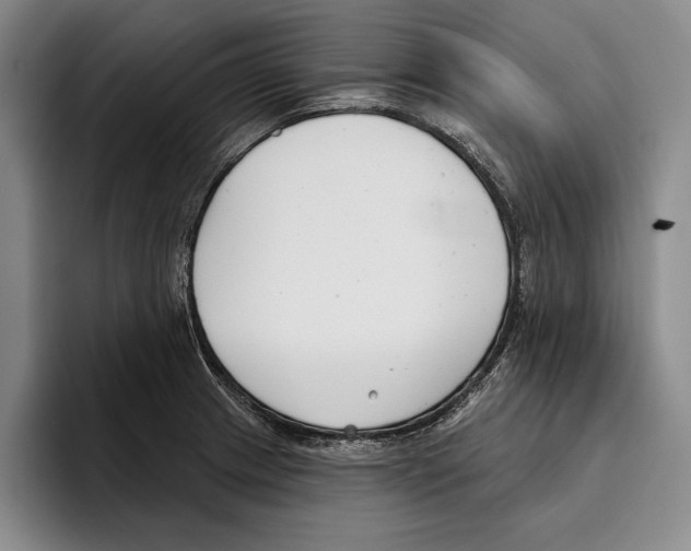 X0000096211233200802151455