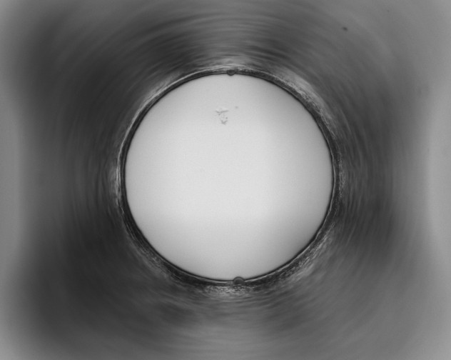 X0000096211234200802151455