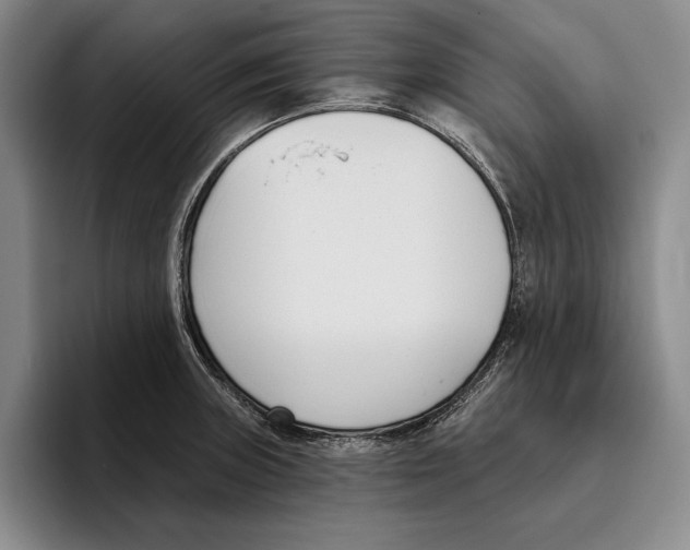 X0000096211235200802151455