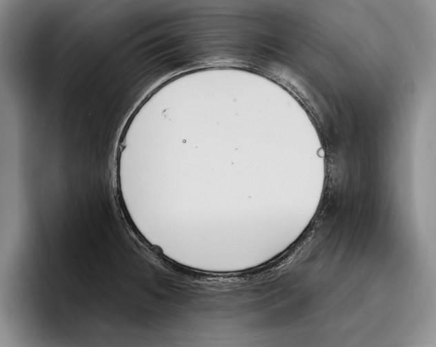 X0000096211236200802151455