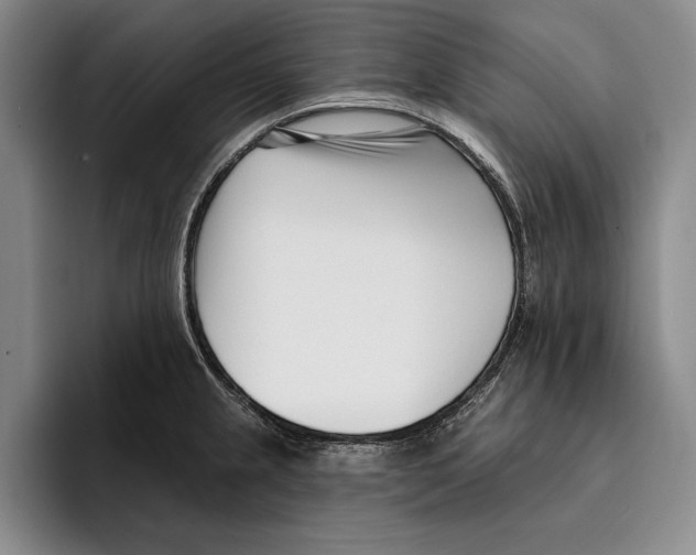 X0000096211237200802151455