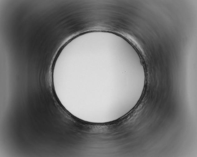 X0000096211238200802151455