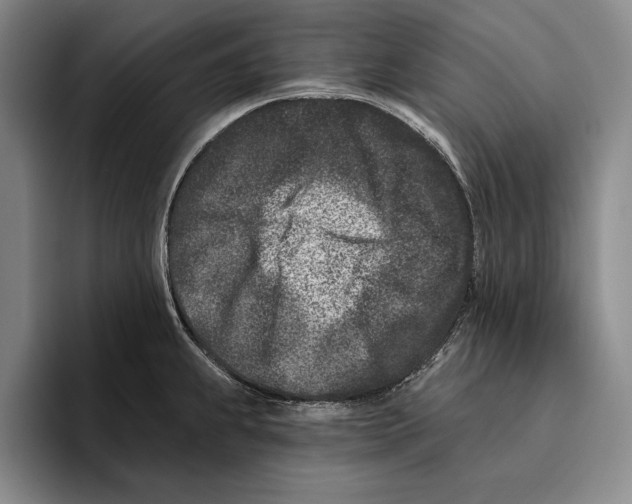 X0000096211239200802151455