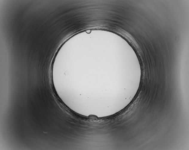 X0000096211242200802151455