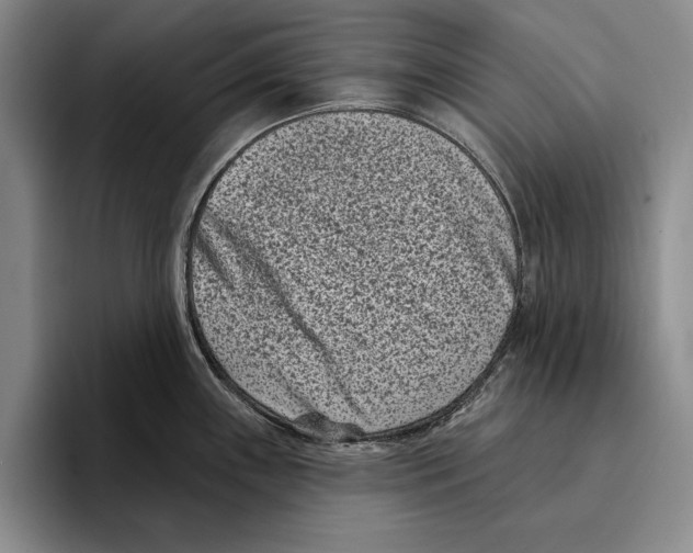 X0000096211243200802151455