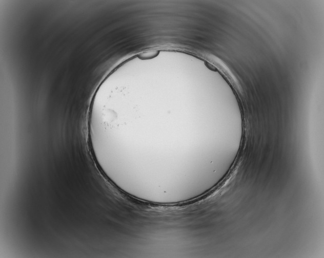 X0000096211244200802151455