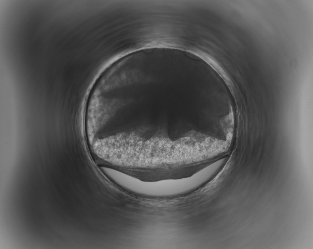 X0000096211246200802151455