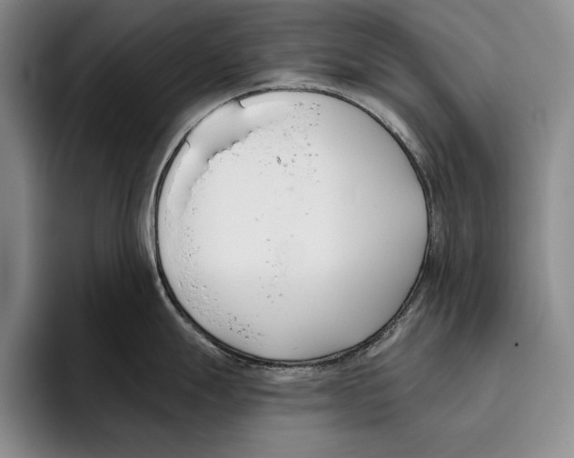 X0000096211247200802151455