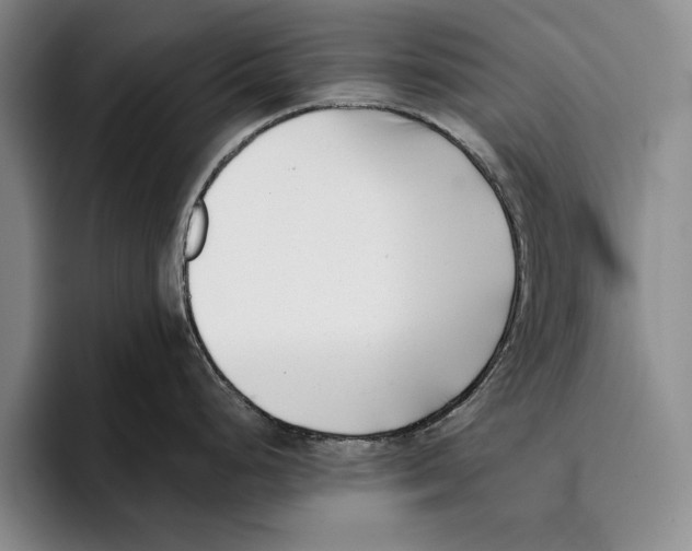 X0000096211248200802151455