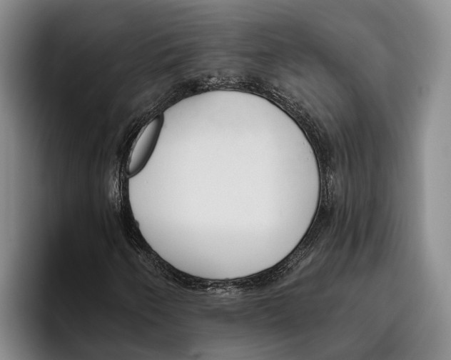 X0000096211250200802151455