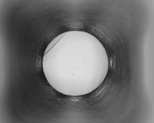 X0000096211251200802151455